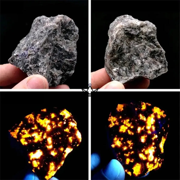 Minéraux bruts à collectionner, pierres naturelles à l'unité ou en sachet — LITHOS, Yooperlite (fluorescente UV) / 1 pièce