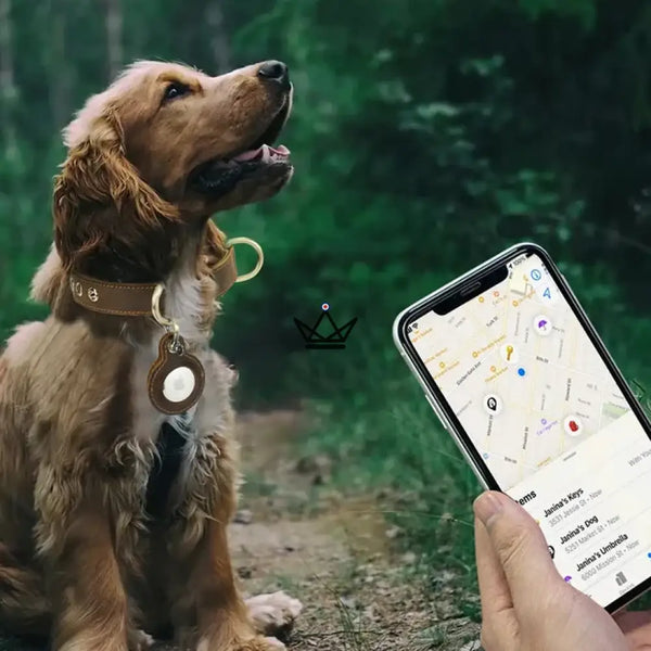 Collier en cuir personnalisable pour chien, Emplacement AirTag – Voyageur Argos
