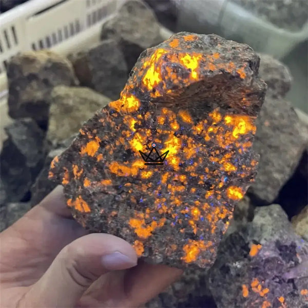 Yooperlite brute fluorescente, pierre qui s'illumine sous UV — LUCIOLE – 2/8