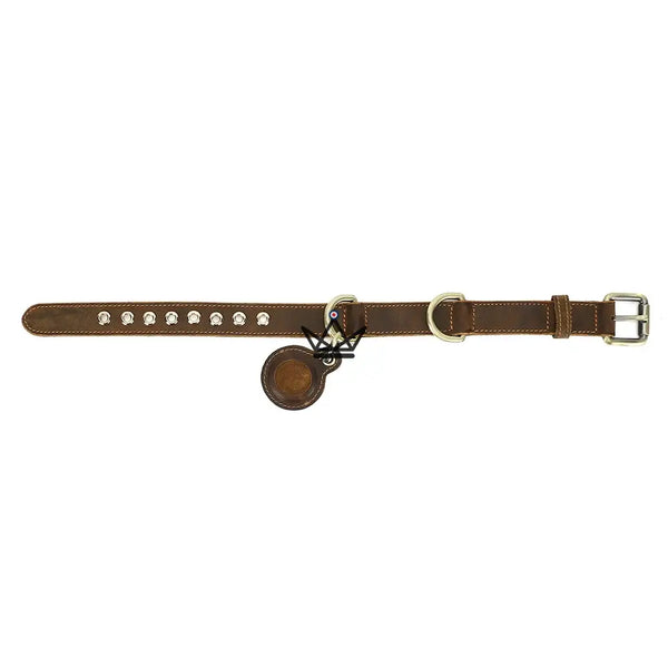 Collier en cuir personnalisable pour chien, Emplacement AirTag – Voyageur Argos