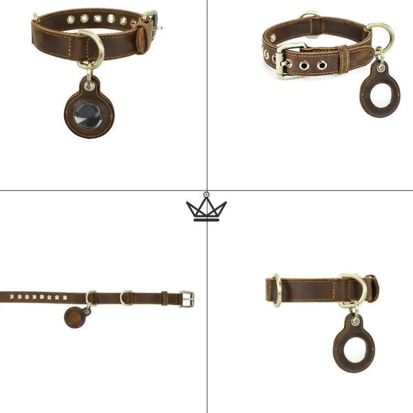 Collier en cuir personnalisable pour chien, Emplacement AirTag – Voyageur Argos