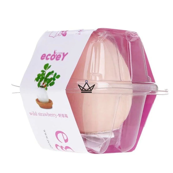 EGGLING - L'oeuf plante X3 - Atelier Atypique