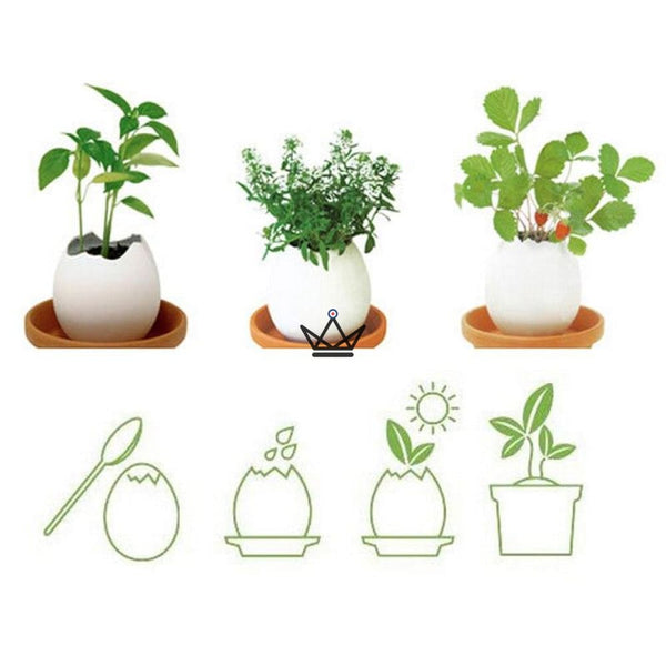 EGGLING - L'oeuf plante X3 - Atelier Atypique