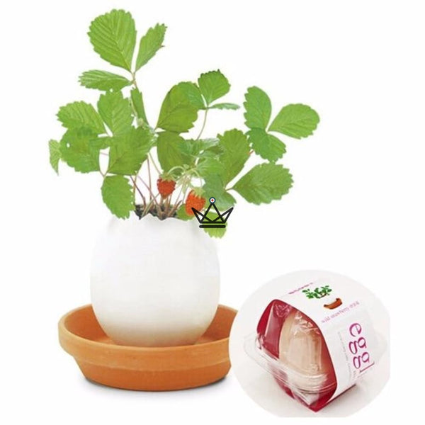 EGGLING - L'oeuf plante X3 - Atelier Atypique