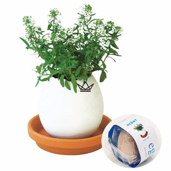 EGGLING - L'oeuf plante X3 - Atelier Atypique