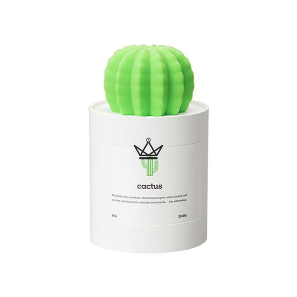 Diffuseur d'huile essentielle - CACTUS - Atelier Atypique