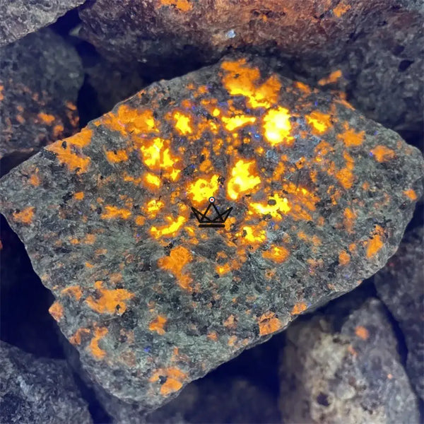 Yooperlite brute fluorescente, pierre qui s'illumine sous UV - LUCIOLE - ["maj-desc","maj-filtre","Objets Scientifiques"] - Objets Scientifiques - Cadeau, Noël, Anniversaire, Original, Fête des pères, fête des mères - Atelier Atypique