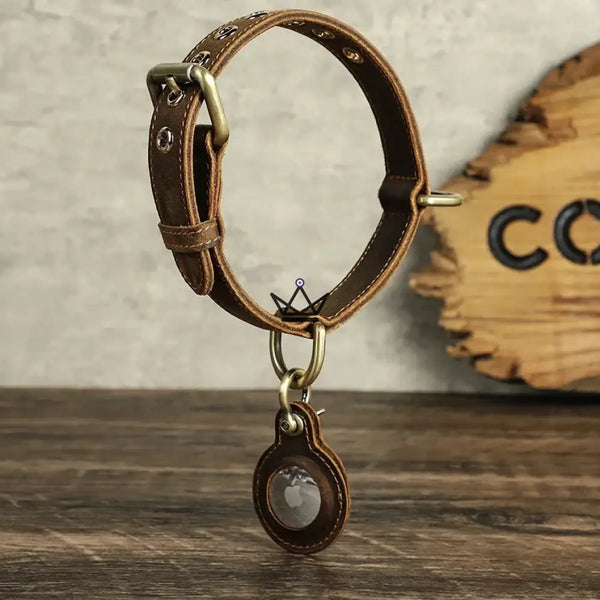 Collier en cuir personnalisable pour chien, Emplacement AirTag – Voyageur Argos