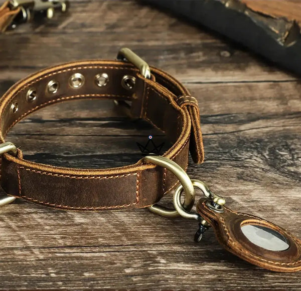 Collier en cuir personnalisable pour chien, Emplacement AirTag – Voyageur Argos