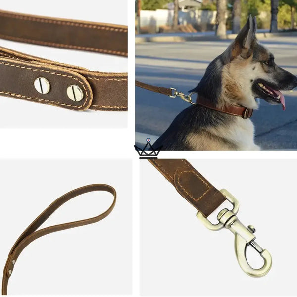 Laisse pour chien en cuir personnalisable - Voyageur Canis Lupus