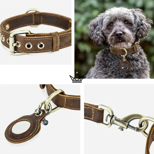 Collier en cuir personnalisable pour chien, Emplacement AirTag – Voyageur Argos